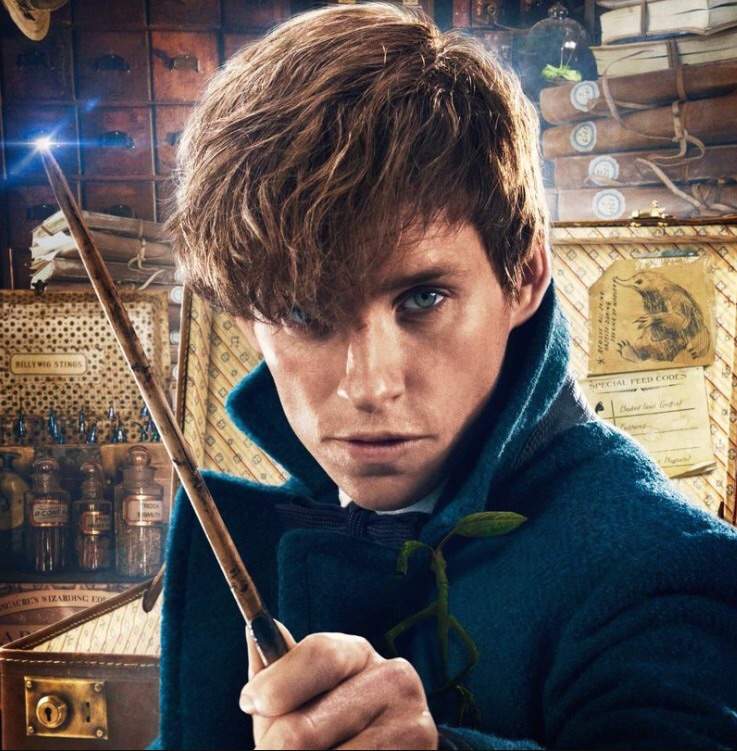 newt-scamander-wiki-harry-potter-amino