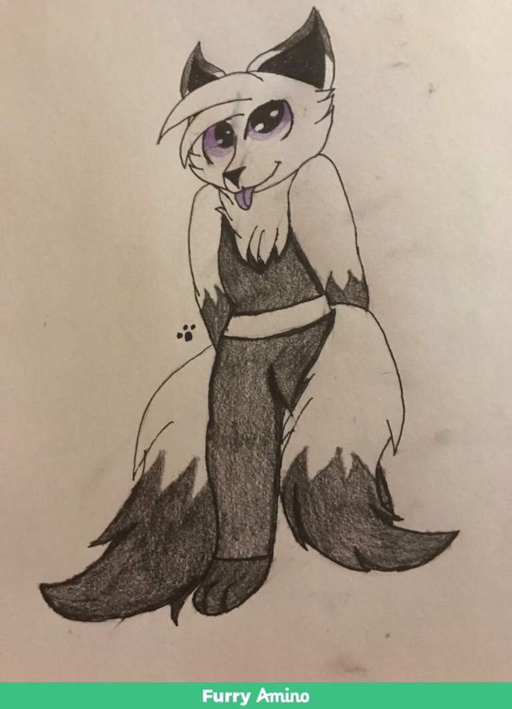 Shiori Shi( Kitsune) | Furry Amino