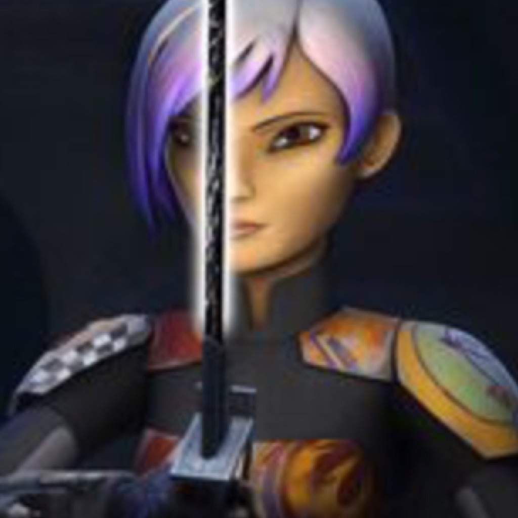 sabine wren