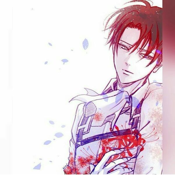 Levi Ackerman ♡♡ | Attack On Titan Amino