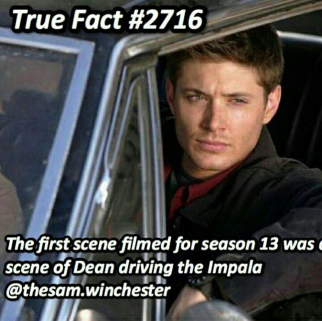 SEASON 13 FACTS📃 | Supernatural Amino