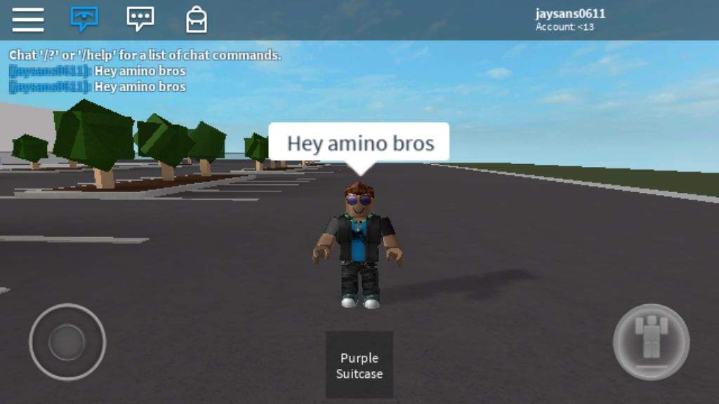 Flying On A Trip Roblox Amino - fly command roblox