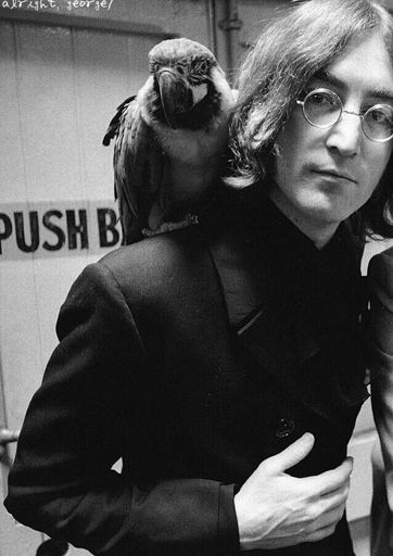 John Lennon | Wiki | The Beatles - Brasil Amino