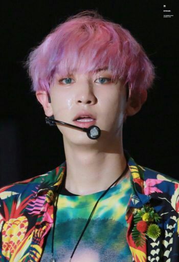 💗Pink Hair Chanyeol Appreciation💗 | EXO (엑소) Amino