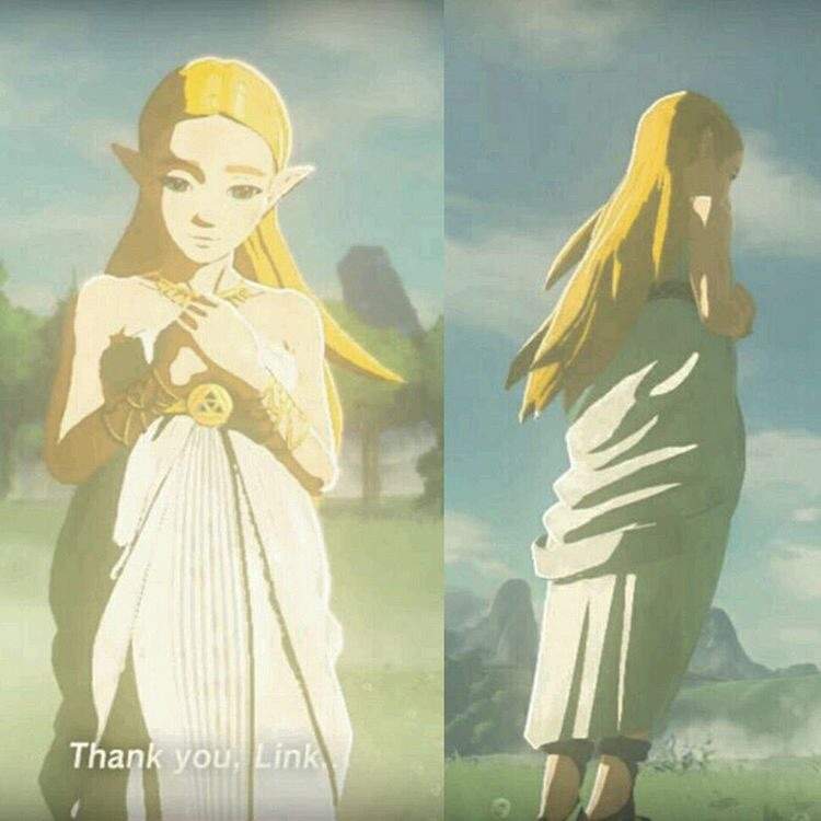 Botw zelda! | Zelda Amino