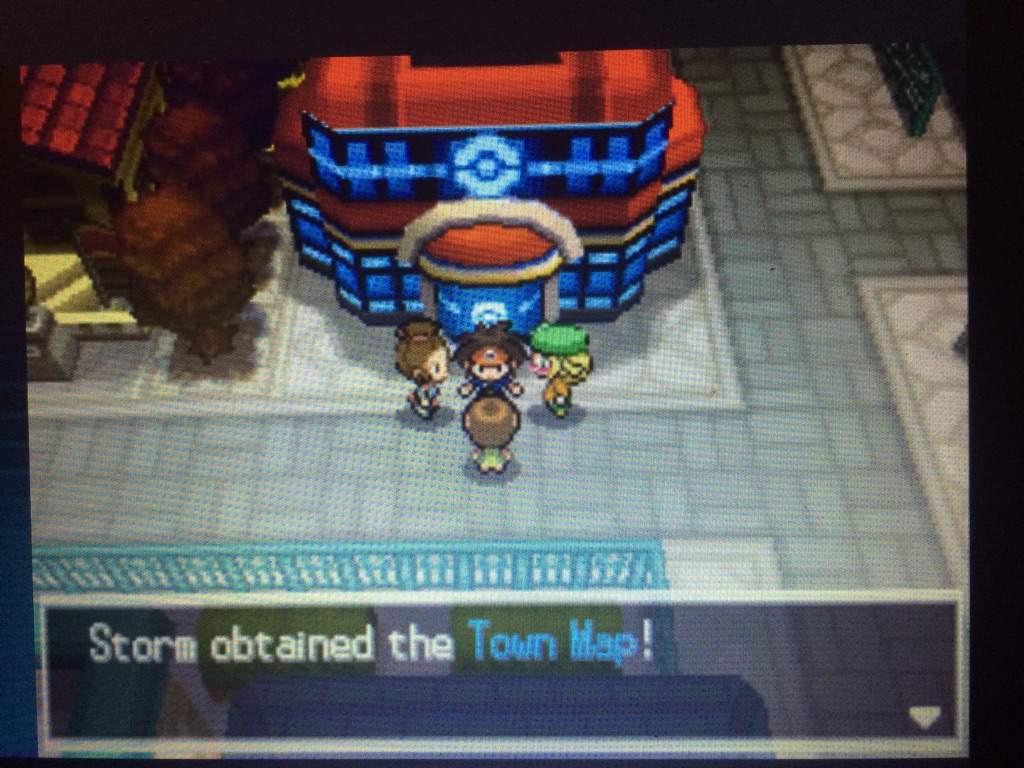 pokemon black extreme randomizer pokemon black extreme randomizer
