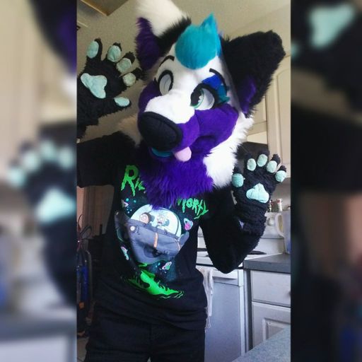 Arctica (Arti) | Wiki | Furry Amino