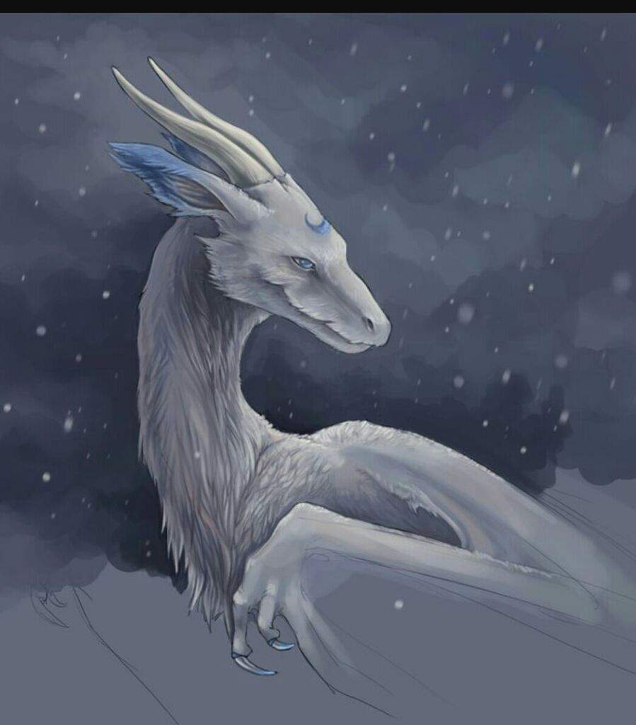 Tristán | Wiki | ★Rol Jinetes De Dragones ★ Amino