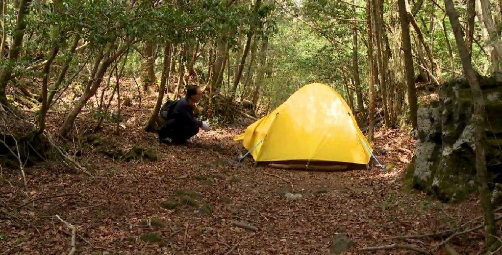 AOKIGAHARA: THE SUICIDE FOREST | Urban Legends & Cryptids Amino