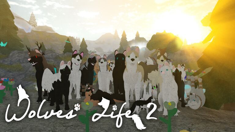Wolves Life Understanding Wolves Roblox Amino