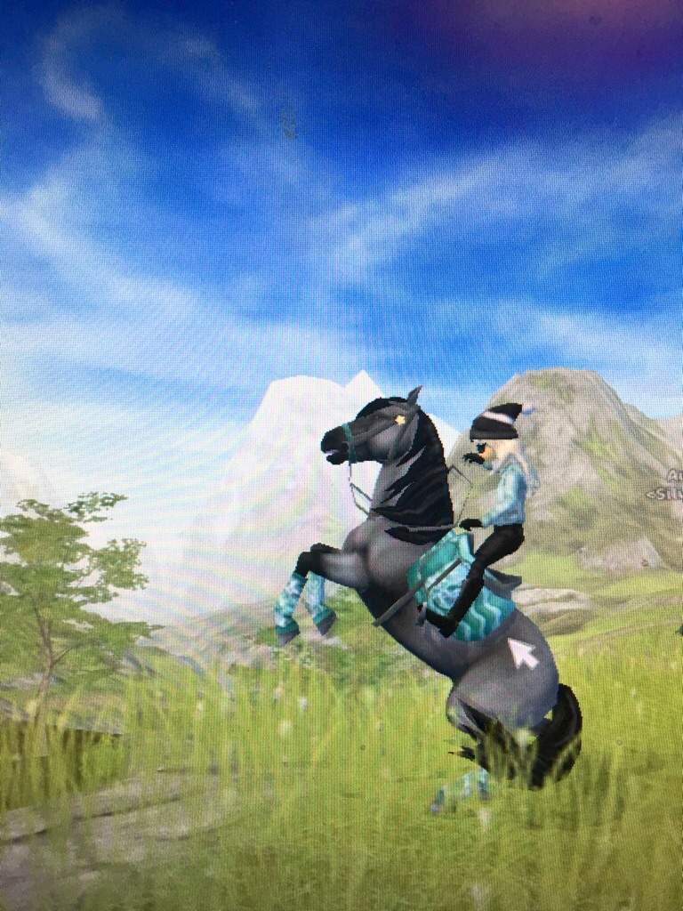 Stormfeather | Star Stable Online Amino