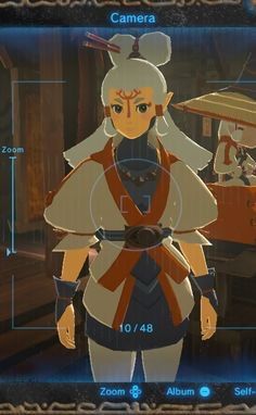 Why Do All The Sheikah In Breath Of The Wild Have White Hair. | Zelda Amino