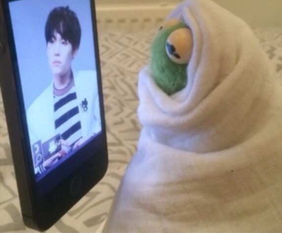 Kermit The Frog🐸Ft BTS | ARMY's Amino