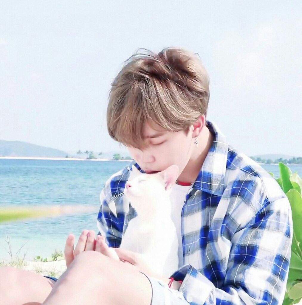 Jimin In Bts 17 Summer Package Army S Amino