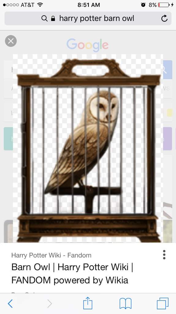 My Owl Pet Wiki Harry Potter Amino