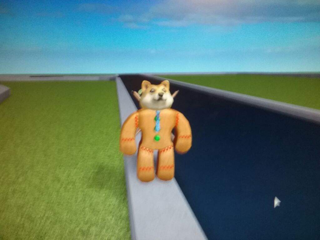 A Very Hungry Doge Roblox Amino - the very hungry roblox amino