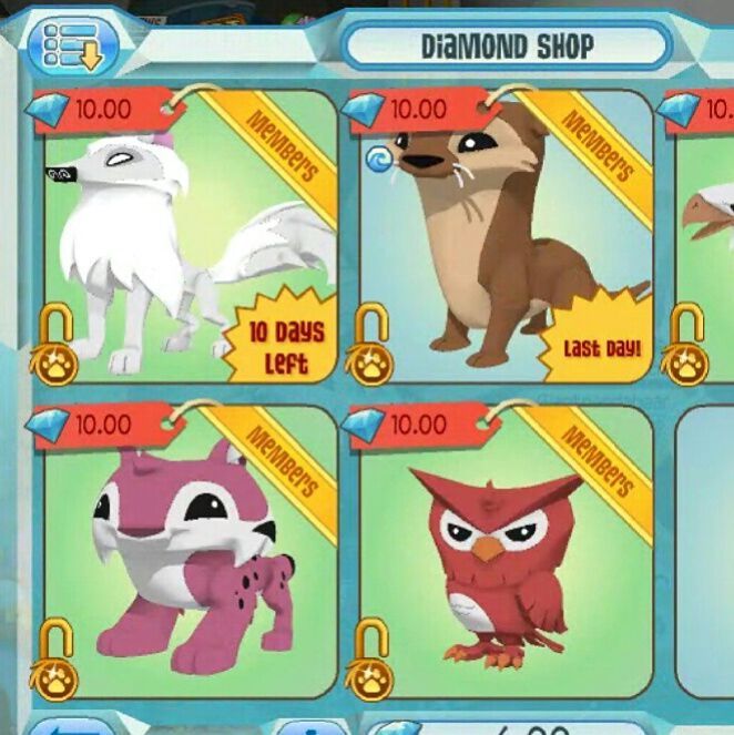 Animal jam otter outfits