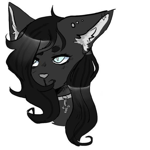 Zetto (Fursona) | Wiki | Furry Amino