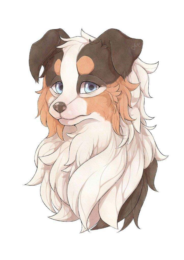Two dogs | Furry Amino