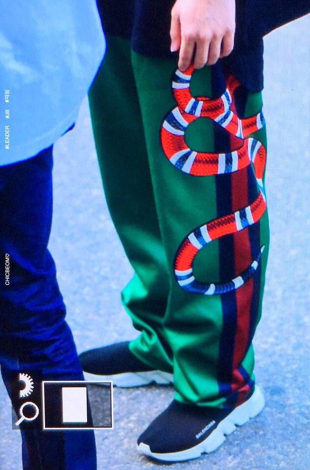gucci sweatpants snake