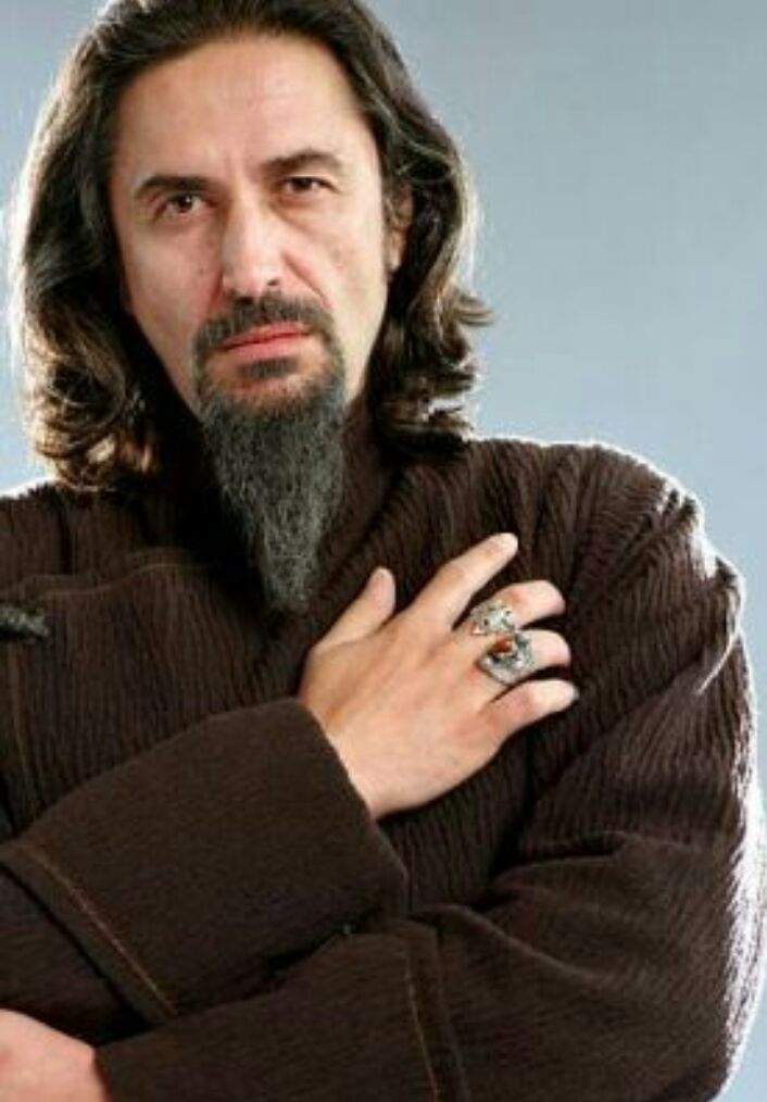INSTITUTO DE MAGIA DURMSTRANG. •Harry Potter• Español Amino