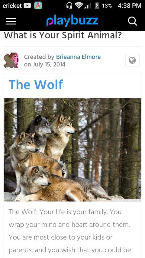 Spirit animal test results! | Wolf Pack Amino Amino