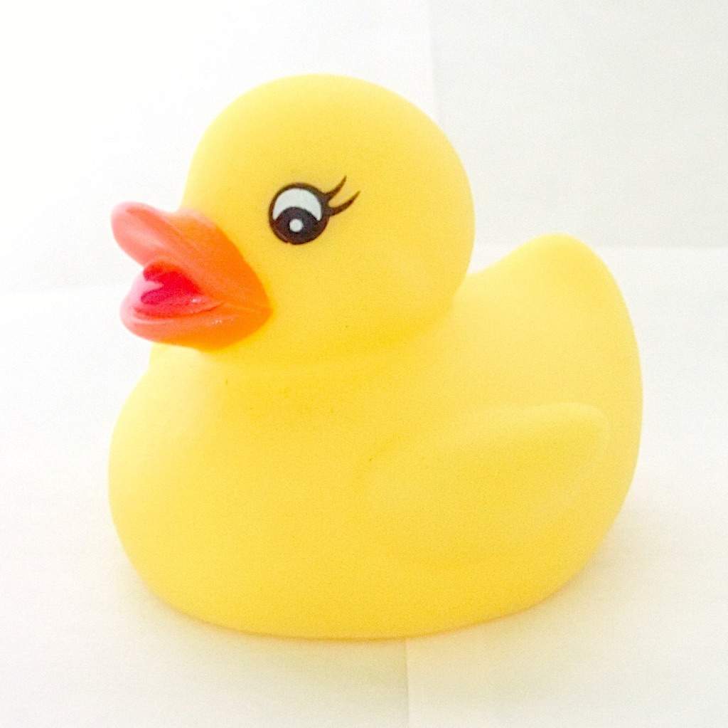 my-two-favorite-type-of-rubber-ducks-rubber-duck-amino