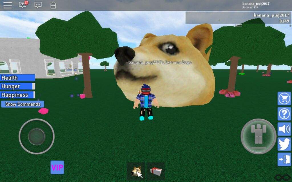 Me Have Extreme Doge Now Roblox Amino - roblox pug image id