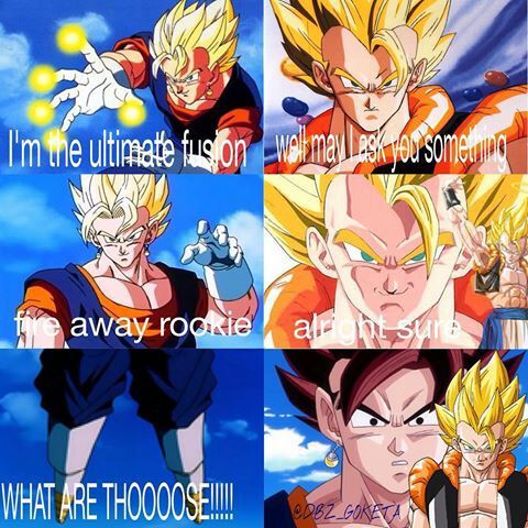 Just some awesome and funny pics of Vegito, Gogeta and Gotenks ...