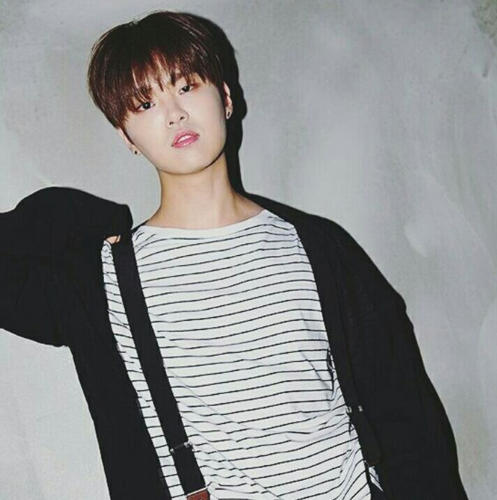 Lee Hajoon | Wiki | The Rose🌹 Amino