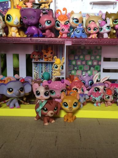 All of my lps | LPS for Girls Amino