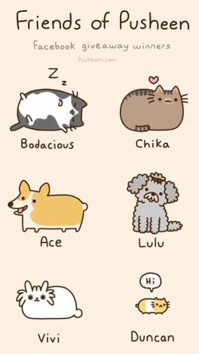 pusheen dog