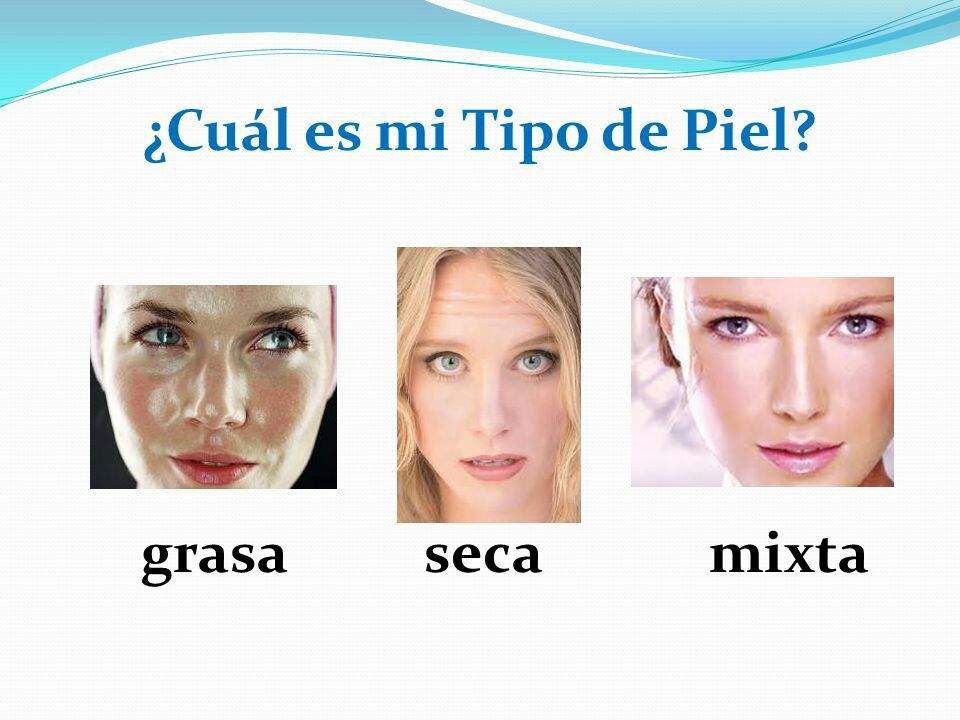 🌻tipos De Piel🌻 Maquillaje Y Moda Amino