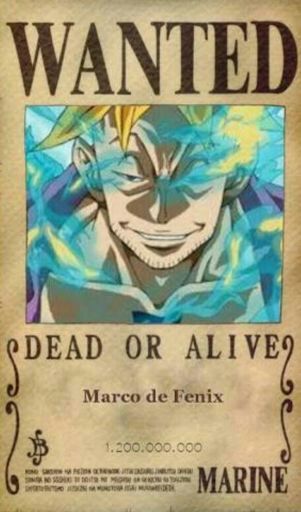 Marco Fenix One Piece Wiki Otaku World Amino - piratas do barba branca roblox