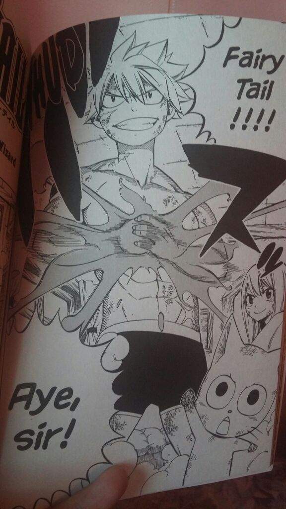 Fairy Tail Volume 61 Fairy Tail Amino