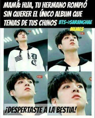 Intento de meme | BTS LATINO Amino