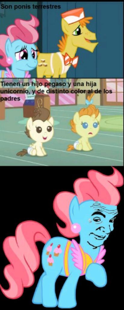 Memes de mlp #3 | Equestria: Fan Club no oficial Amino