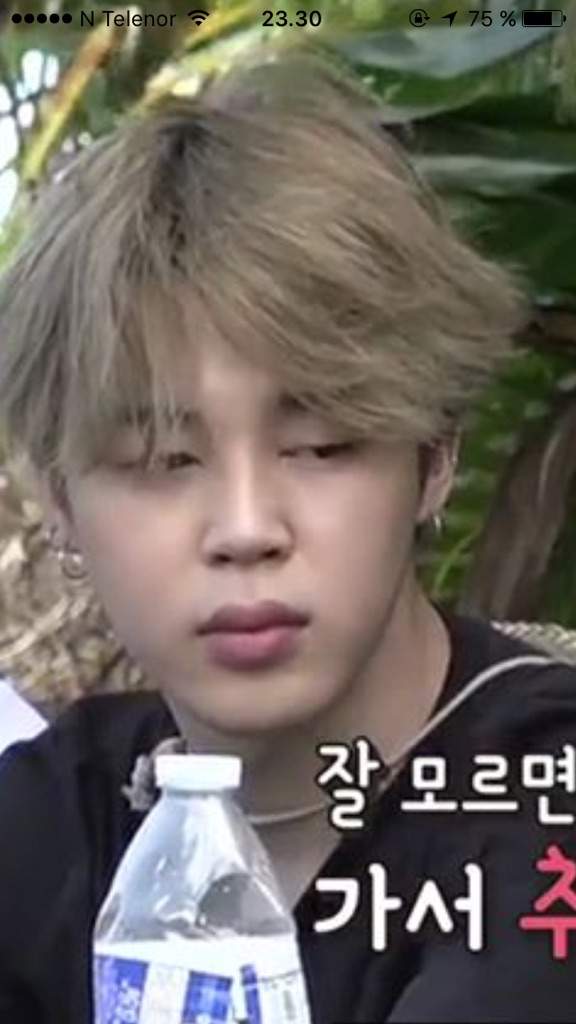 Park Jimin The Meme Face Why He So Cute When Eating Army S Amino