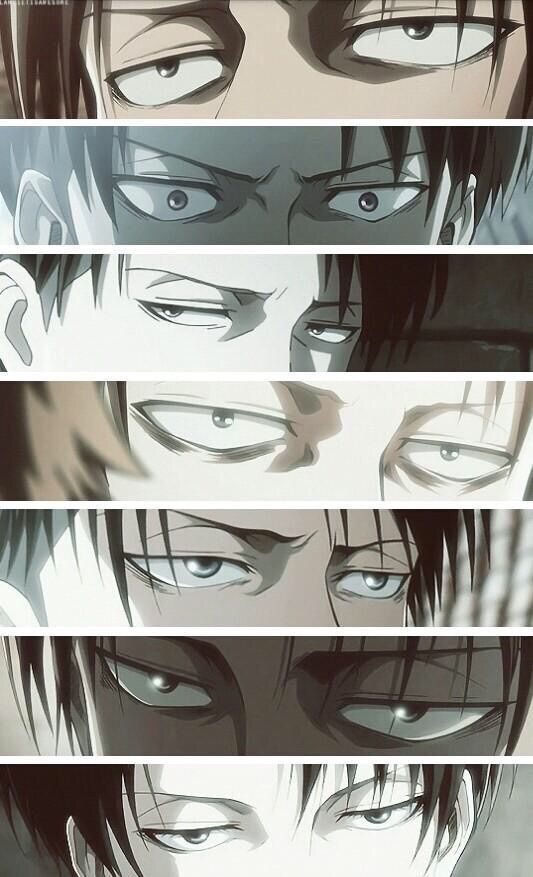 Levi's eyes 😍 | Anime Amino