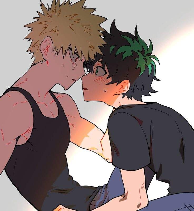 Bakugou x Deku or Todoroki x Deku? My Hero Academia Amino