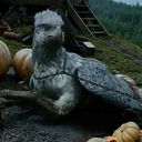 Hippogriff | Wiki | Harry Potter Amino