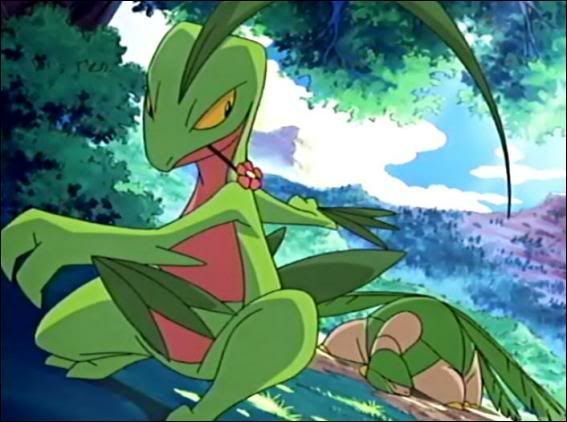 pokemon grovyle