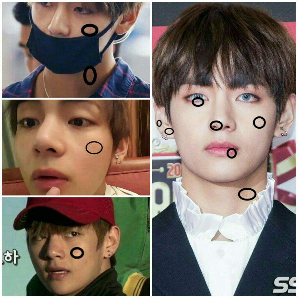 BTS Moles 101 | ARMY's Amino