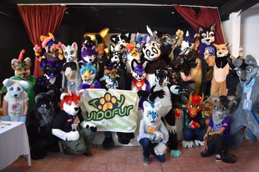 FURRY CONVENTION in mexico FURS IN SPACE | Furry Amino