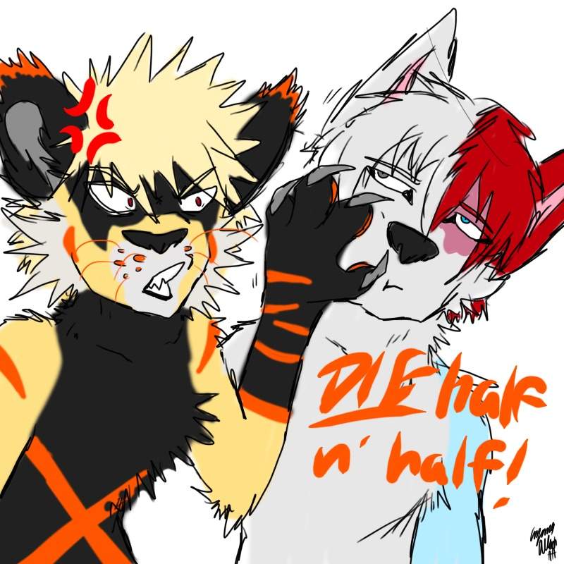 Wolf Todoroki and Tiger Bakugou | My Hero Academia Amino