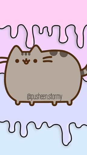 pusheen cat chef