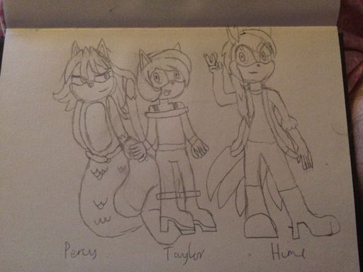 Femboy Squad | Sonic the Hedgehog! Amino