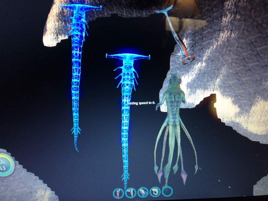 reaper leviathan size comparison