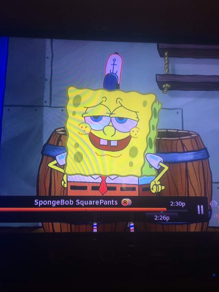 SpongeBob SquarePants Amino