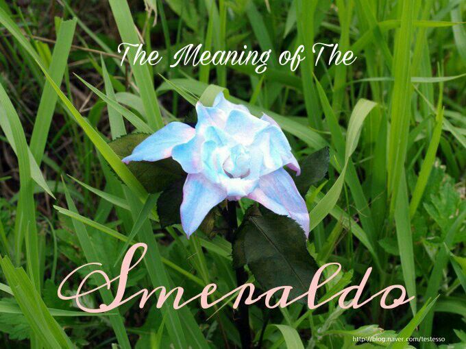 The Meaning Of Smeraldo K Pop Amino